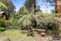 Property photo of 13 Scottys Track Tanjil Bren VIC 3833