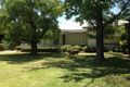 Property photo of 185 Dandaloo Street Narromine NSW 2821