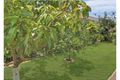 Property photo of 29 Riverstone Place Bli Bli QLD 4560