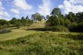 Property photo of 30 Wright Road Stanmore QLD 4514