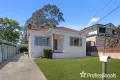 Property photo of 125 Karne Street North Roselands NSW 2196