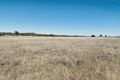 Property photo of 171 Black Lead Lane Gulgong NSW 2852