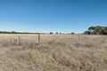Property photo of 171 Black Lead Lane Gulgong NSW 2852