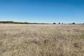 Property photo of 171 Black Lead Lane Gulgong NSW 2852