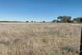 Property photo of 171 Black Lead Lane Gulgong NSW 2852