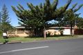 Property photo of 33 Saint Andrews Avenue Surfers Paradise QLD 4217