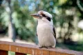 Property photo of 14A Winter Street Tinonee NSW 2430