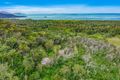 Property photo of LOT 2 Allan Road Conway QLD 4800