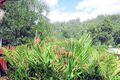 Property photo of 1 Lucania Street Currumbin Waters QLD 4223