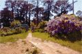 Property photo of 43 Caloola Street Newbridge NSW 2795