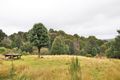 Property photo of 44 Walker Street Waratah TAS 7321