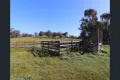Property photo of 195 Camp Road Murchison VIC 3610