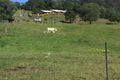 Property photo of 359 Ruffles Road Willow Vale QLD 4209