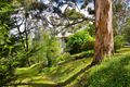 Property photo of 1 Western Avenue Hepburn VIC 3461