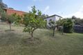 Property photo of 24 Croanna Street Rye VIC 3941