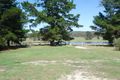 Property photo of 471 Nielsens Road Storm King QLD 4380