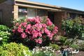 Property photo of 11/51 Glebe Street Forest Hill VIC 3131