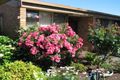 Property photo of 11/51 Glebe Street Forest Hill VIC 3131