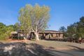 Property photo of 6 Carlsen Way Pegs Creek WA 6714