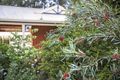 Property photo of 49 Peterho Boulevard Point Lonsdale VIC 3225