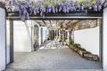 Property photo of 137 Arthur Street Surry Hills NSW 2010
