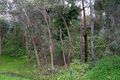 Property photo of 8 Michael Crescent Boya WA 6056