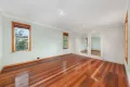 Property photo of 60A Avoca Street Randwick NSW 2031