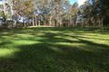 Property photo of 905M Main Western Road Tamborine Mountain QLD 4272