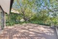 Property photo of 5 Drumalbyn Road Bellevue Hill NSW 2023