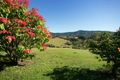 Property photo of 723 Valla Road Valla NSW 2448