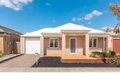 Property photo of 21 Hedges Street Craigieburn VIC 3064