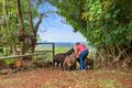 Property photo of 7 Ringwood Lane Mapleton QLD 4560