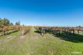 Property photo of LOT 595/218 Bethany Road Bethany SA 5352