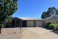 Property photo of 42 Reusch Drive Nuriootpa SA 5355