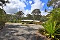 Property photo of 1463 Illaroo Road Illaroo NSW 2540