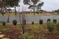 Property photo of 241 Adelaide Road Murray Bridge SA 5253