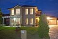 Property photo of 10 Albatross Close North Lakes QLD 4509