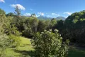 Property photo of 266 Tyalgum Road Eungella NSW 2484