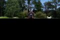 Property photo of 32 Elamo Road Healesville VIC 3777