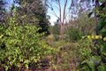 Property photo of 365 Redbank Road Tiaro QLD 4650