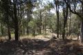 Property photo of LOT 5 Burridge Road Tandur QLD 4570