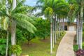 Property photo of 48 Granadilla Drive Earlville QLD 4870