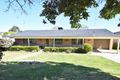 Property photo of 11 Milong Street Young NSW 2594