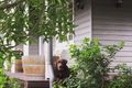 Property photo of 56 Hall Street Cessnock NSW 2325