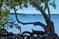 Property photo of 7 Esplanade Tin Can Bay QLD 4580