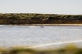 Property photo of 2A Cormorant Way Torquay VIC 3228