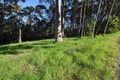 Property photo of 2 Willis Boulevard Narooma NSW 2546
