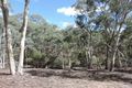 Property photo of 28 The Glen Road Jerrong NSW 2580