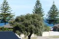 Property photo of 14 Burton Road Castletown WA 6450
