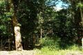 Property photo of LOT 3 Whitfield Creek Road Kennedy QLD 4816